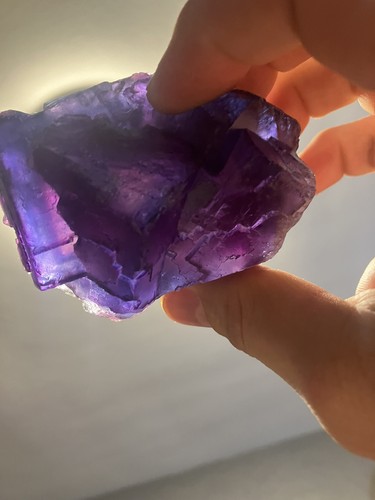Purple and sky blue - purple, zoned