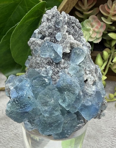 Crystal 186g blue reactive - 186g, uv